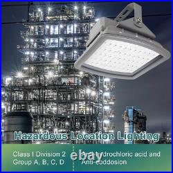100W Explosion Proof LED Flood Light for Hazardous Gas Station Warehouse Airport