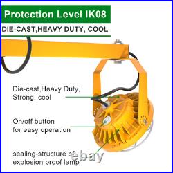 30W LED Dock Lights with Folding Arm 360° Rotatable Lamp Head, IP65, 4200LM UL