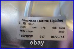 American Electric Lighting 250 Watt 480V Luminaire HPS Cobra Head Street Light