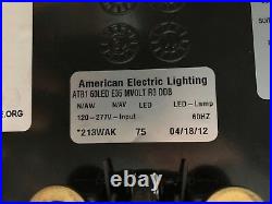 American Electric Lighting Autobahn 60LED Roadway/Area/Parking/Shop/Yard Light