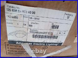 American Electric Lighting Street Light Series 125 400W HPS Luminaire Cobrahead