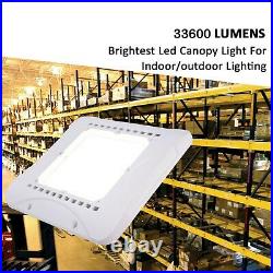 Big 240W LED Canopy Light Drop Lens Gas Station 31200 lumens UL / DLC Listed
