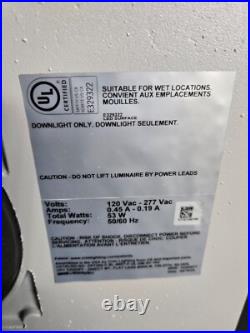 Cree Lighting Silver CPY-250 Canopy LED Light CPY250-C-8L-40K7-F-UL-DM-SV-10V