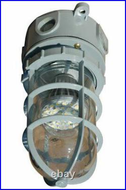 Hazardous Area LED Strobe Light Chemical/Corrosion Resistant 10 Watts