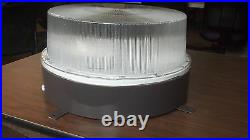 Induction Canopy Light Fixture 80W