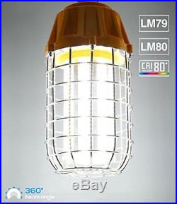 LED Temporary Work Light Fixture, 5000K Daylight