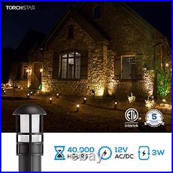 LEONLITE LED Landscape Pathway Light, 3W 18W Eqv, 12V Low Voltage, IP65 CRI90+