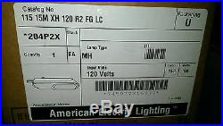 NEW NOS American Electric Lighting Roadway 115 Series Cutoff Street Lamp Light